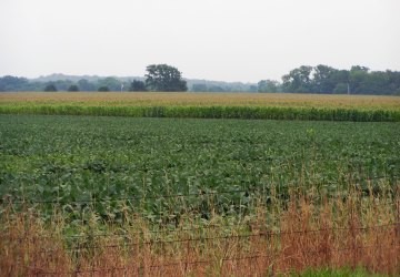 El valor de la tierra se cuadruplic� en diez a�os